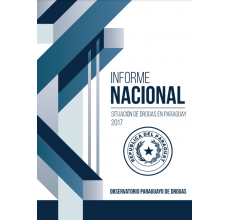 Paraguay: Informe Nacional. Situación de drogas en Paraguay 2017